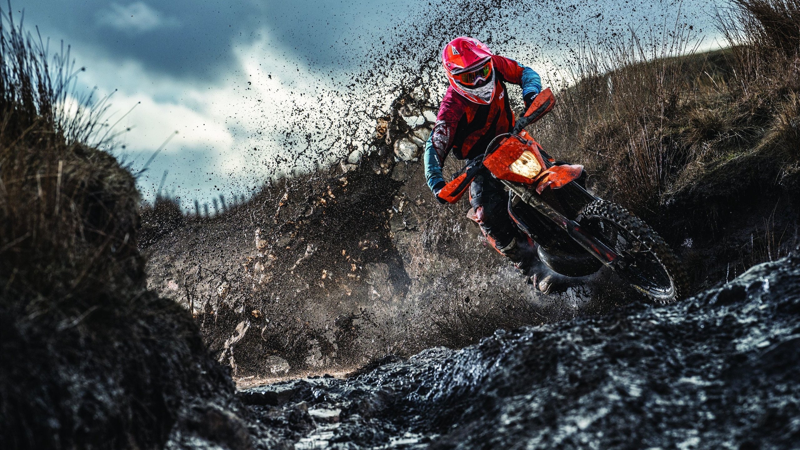 法国记者惊叹：伊朗的冷静来自炎热土地？，伊朗foroughi